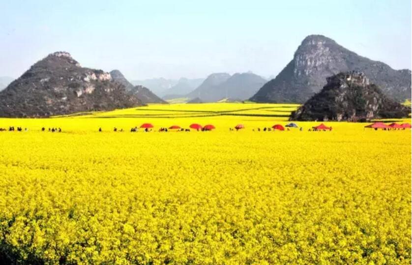 《三生三世十里桃花》的外景拍攝地！