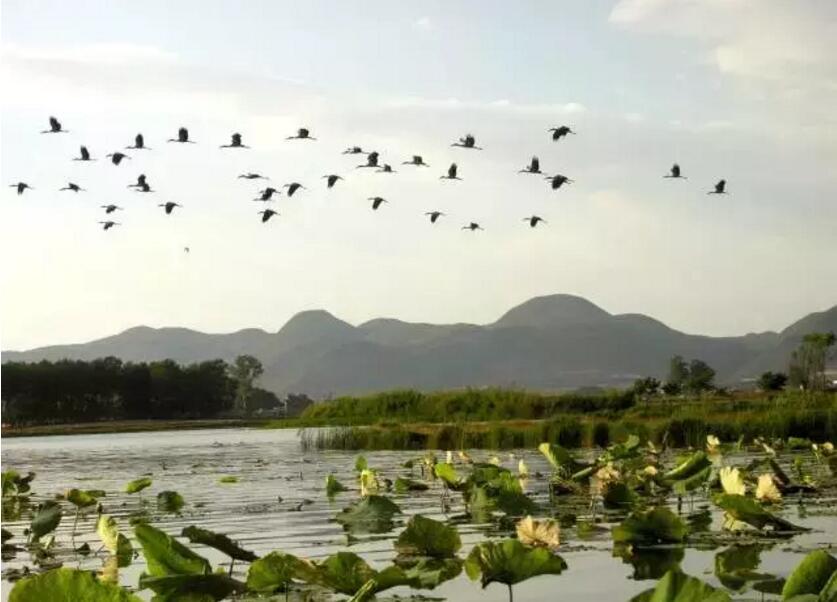 《三生三世十里桃花》的外景拍攝地！
