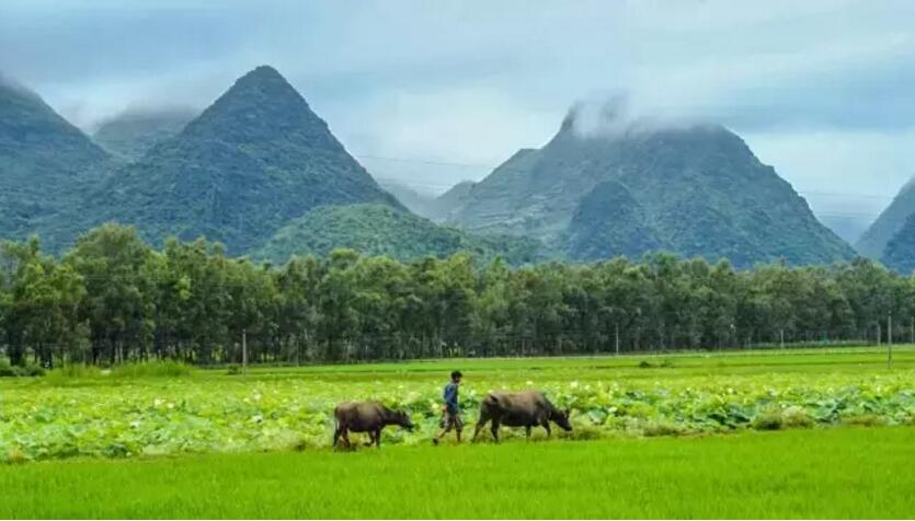 《三生三世十里桃花》的外景拍攝地！