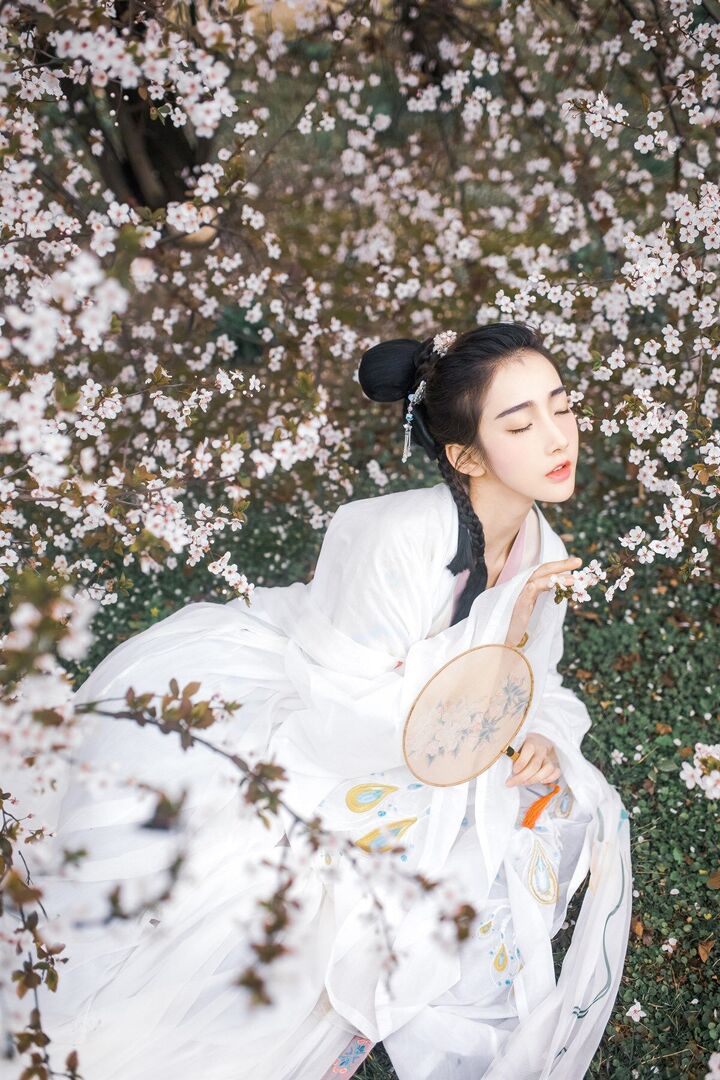 夢仙游櫻花樹下古風(fēng)人像攝影