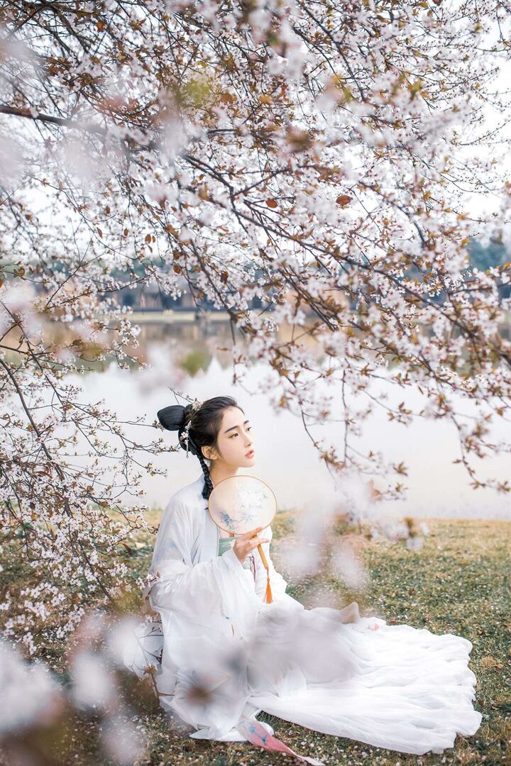 夢仙游櫻花樹下古風(fēng)人像攝影