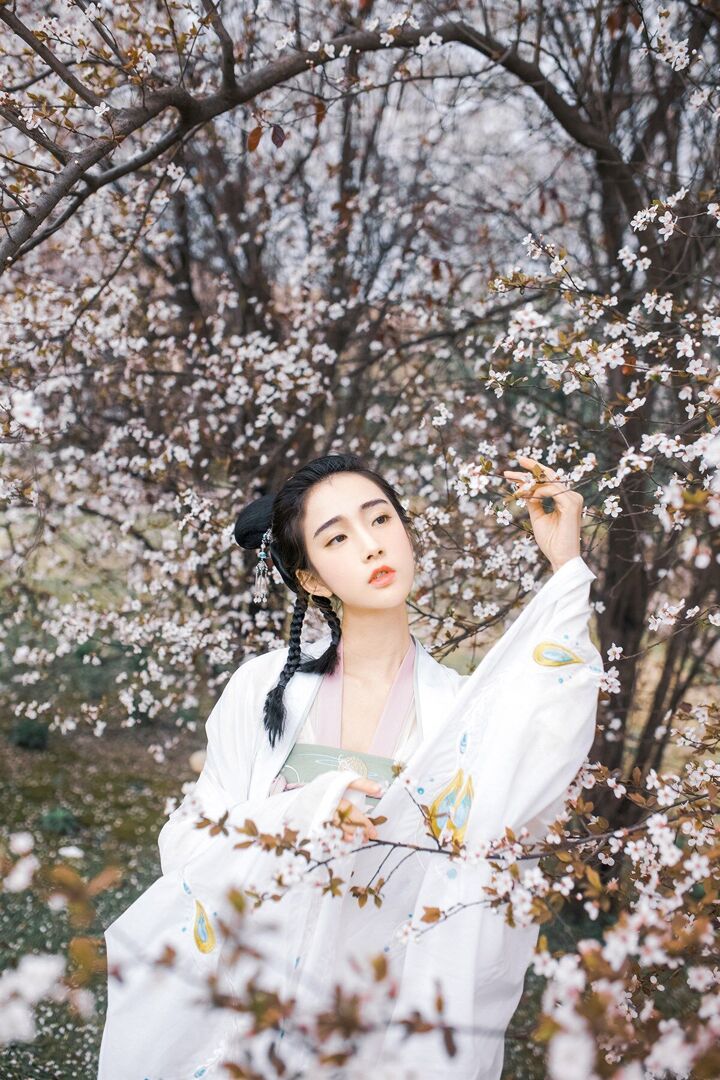 夢仙游櫻花樹下古風(fēng)人像攝影