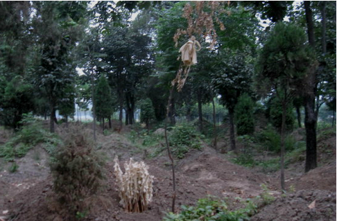 農(nóng)村下葬要注意哪些問(wèn)題？農(nóng)村下葬的風(fēng)水講究