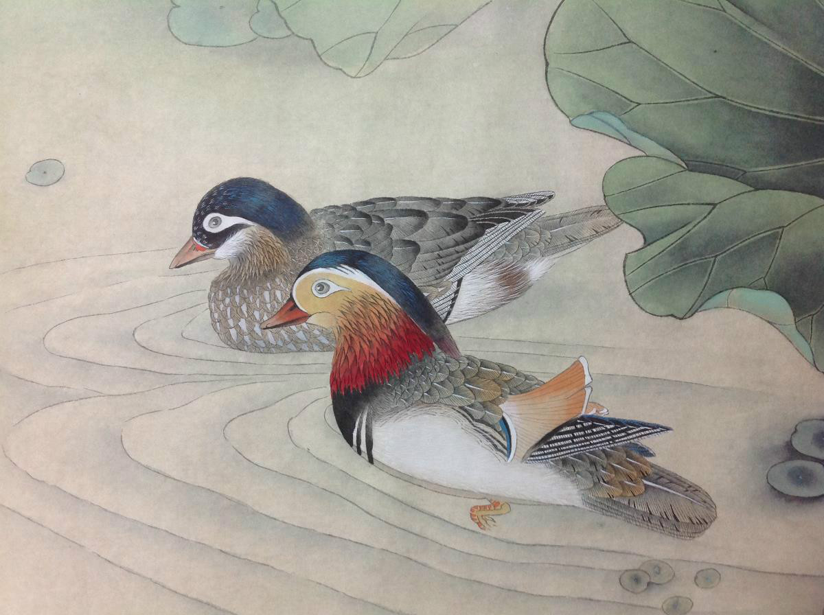 國(guó)畫荷花，鴛鴦戲水
