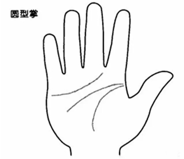 四種不同手掌外形，看出你的不同性格