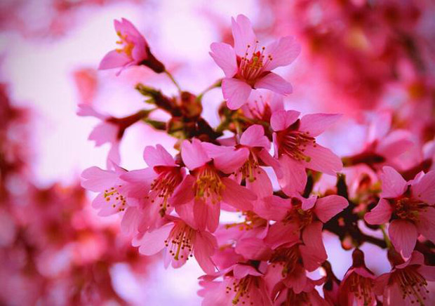 廁所竟然掌管桃花運？快來看看你的桃花運如何