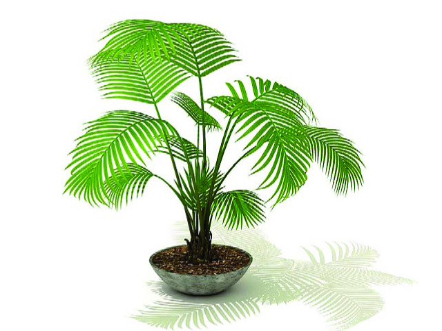 一定要學(xué)會(huì)的室內(nèi)植物擺設(shè)風(fēng)水禁忌?。。? /></a></div>
		<div   id=