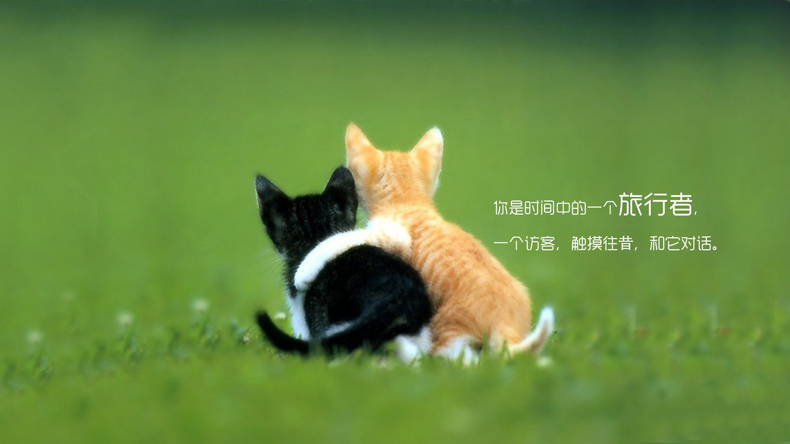 掌握這些風(fēng)水小妙招，讓你的愛情更加甜蜜