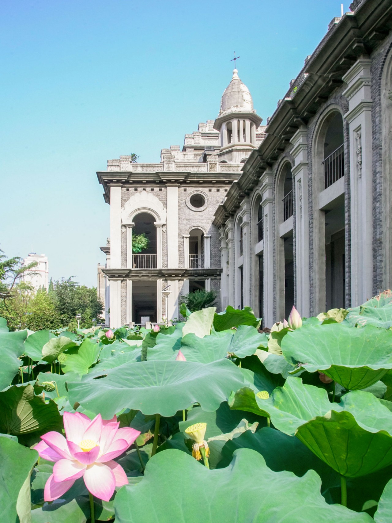武漢鬧市的尼姑庵，全中國(guó)最美寺廟古德寺