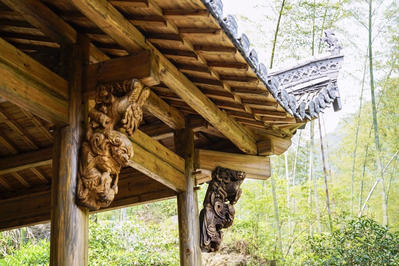 一音禪師的佛系生活：獨自修行活在當下！
