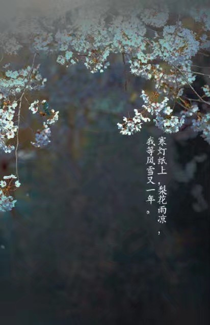 唯美帶文字古風(fēng)圖片，清新有意境古風(fēng)壁紙圖集