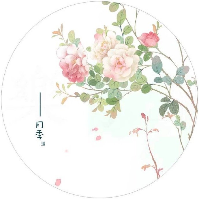 清新植物花卉插畫，可作頭像的插畫圖片