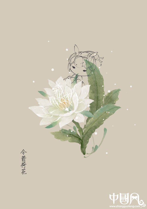 一組花與仙子古風(fēng)圖片，清新淡雅的古風(fēng)圖集