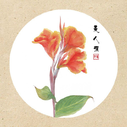 清新古風(fēng)花卉插畫，可作頭像的花卉插畫圖片