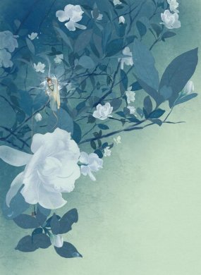 一組唯美古風(fēng)圖片：一人一花一世界！