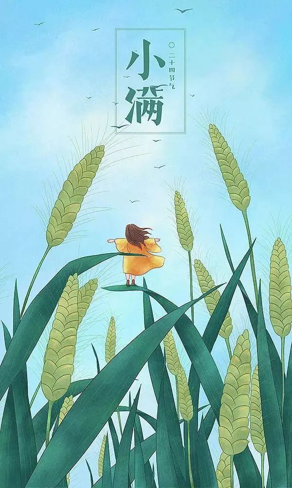 治愈系畫風插畫：一組二十四節(jié)氣插畫