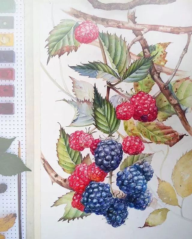 超逼真的水彩手繪插畫，小清新植物插畫圖片