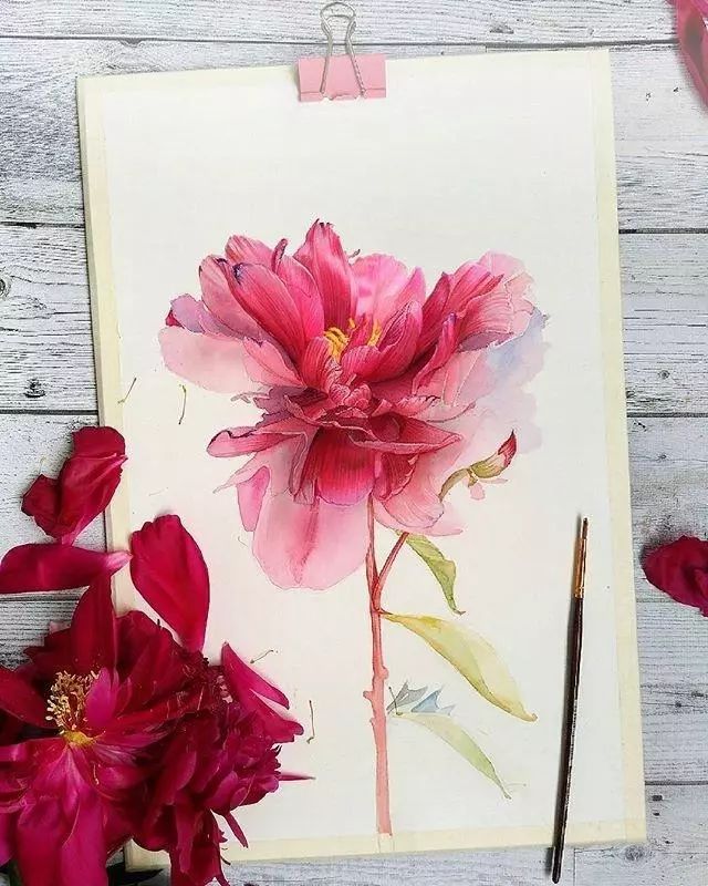 超逼真的水彩手繪插畫，小清新植物插畫圖片