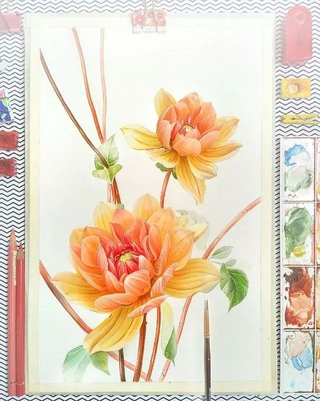 超逼真的水彩手繪插畫，小清新植物插畫圖片