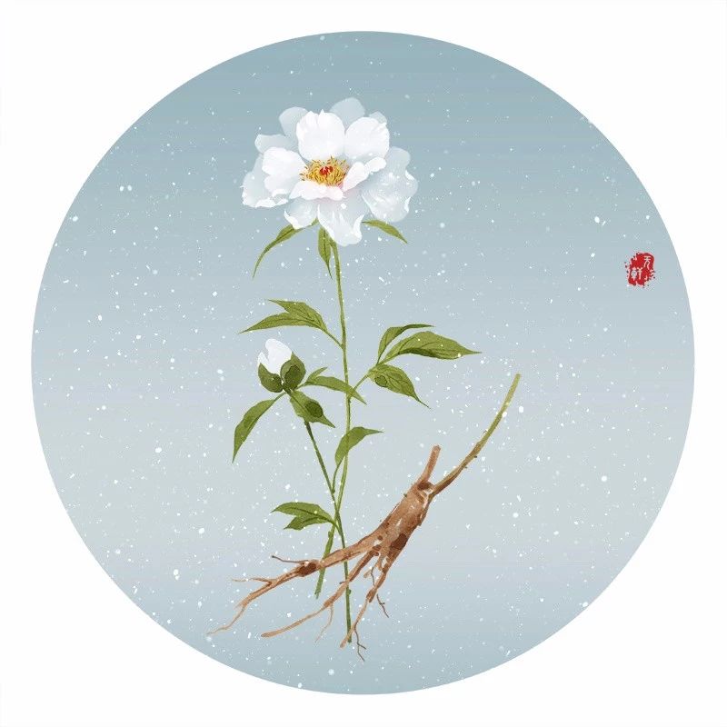 清新古風花卉插畫，清雅如詩的插畫圖片