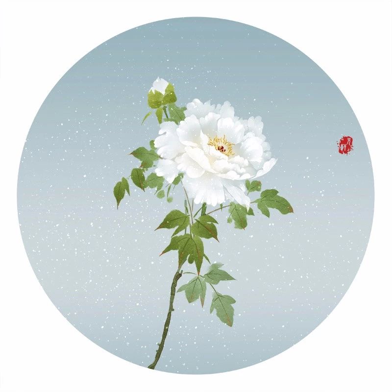 清新古風花卉插畫，清雅如詩的插畫圖片
