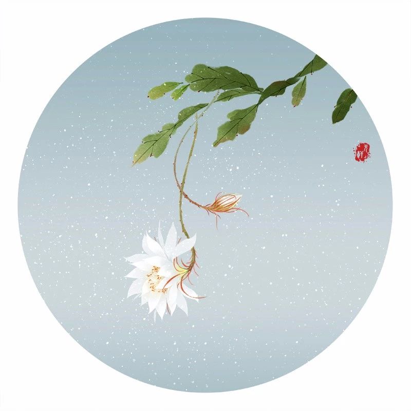 清新古風花卉插畫，清雅如詩的插畫圖片