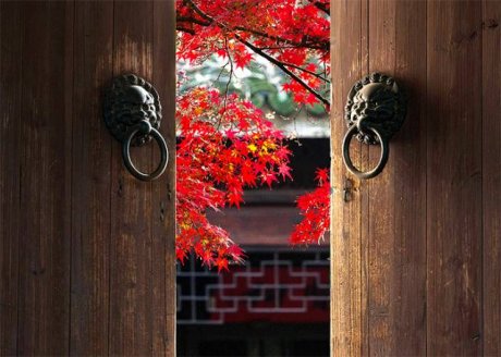 中國人在秋天的九種情調(diào)，唯美古風(fēng)句子