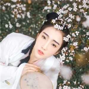 櫻花樹下古風女子頭像，真人古風頭像大全