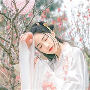 輕盈溫婉的古風女子頭像，中國古典風格qq頭像