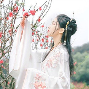 輕盈溫婉的古風女子頭像，中國古典風格qq頭像