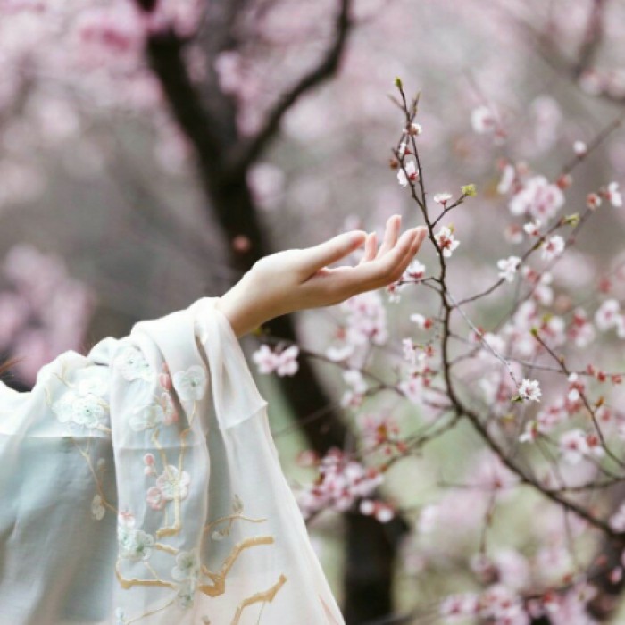 古風(fēng)女子纖纖玉手頭像，寧?kù)o清幽女生頭像