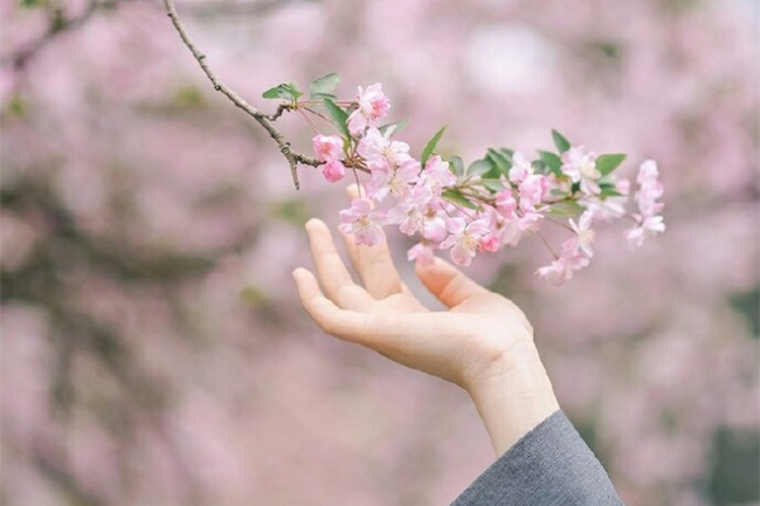 玉手撫枝古風(fēng)頭像，唯美女子纖手頭像