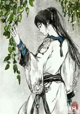 我自是年少，韶華傾負