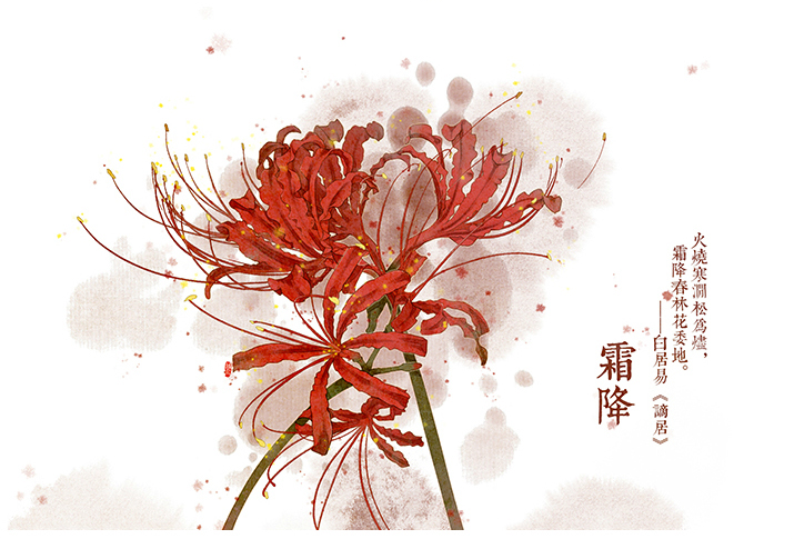 唯美的24節(jié)氣花卉插畫，品味古老的詩之清韻