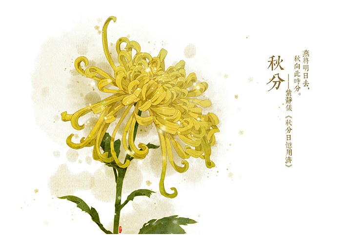 唯美的24節(jié)氣花卉插畫，品味古老的詩之清韻