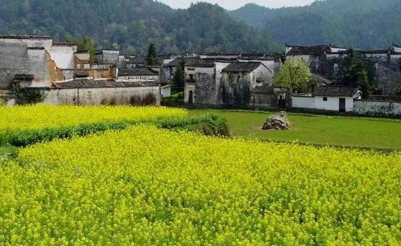 8家黃山腳下最美民宿，在青山田野享受歸園田居