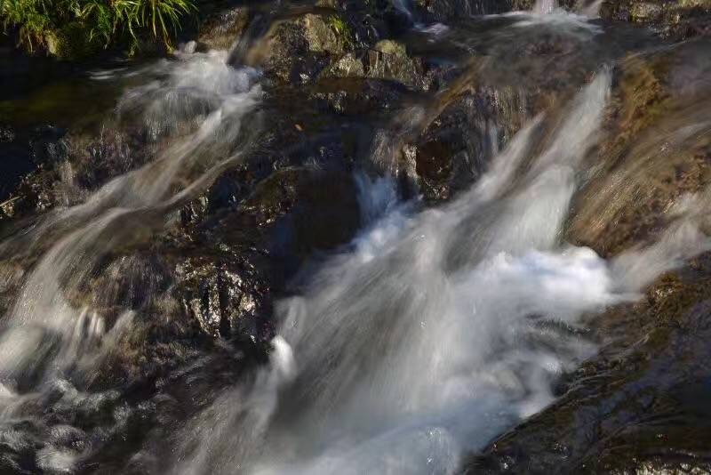 莫干山悠然九希，面朝竹海背向茶山的避暑圣地