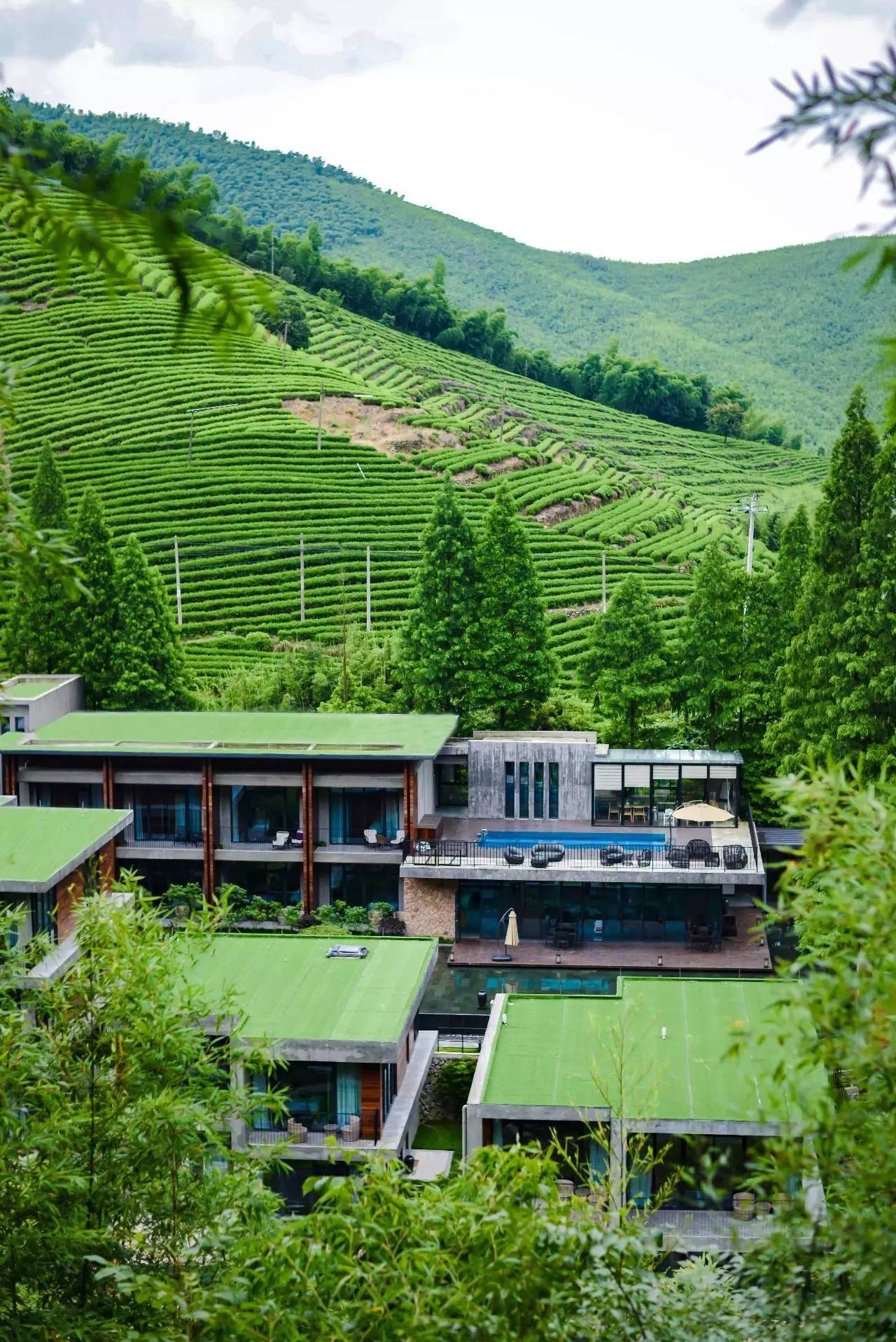 莫干山悠然九希，面朝竹海背向茶山的避暑圣地