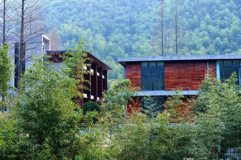 莫干山悠然九希，面朝竹海背向茶山的避暑圣地