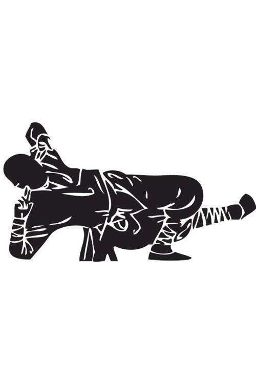 武術(shù)招式：事了拂衣去，深藏身與名